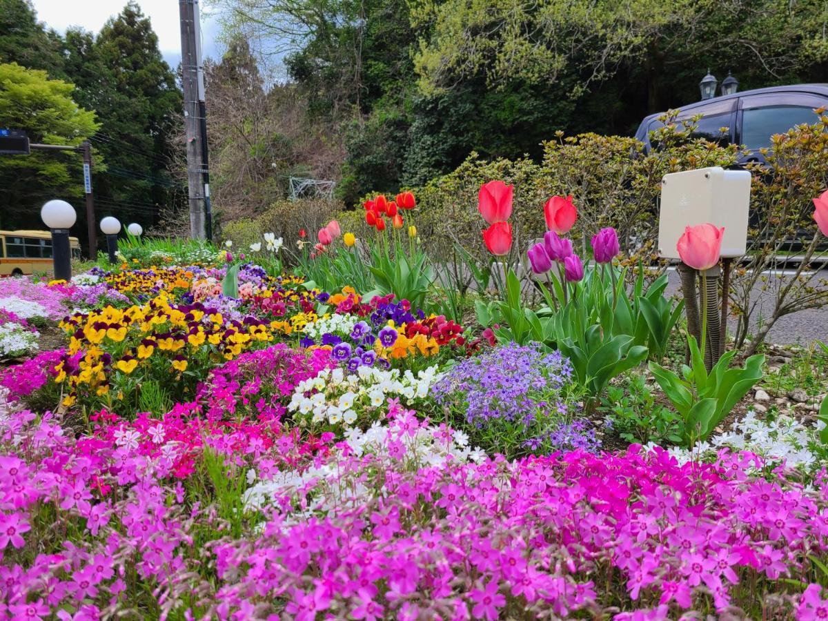 Flower Villa Sagamiko (Adults Only) Hachioji Luaran gambar